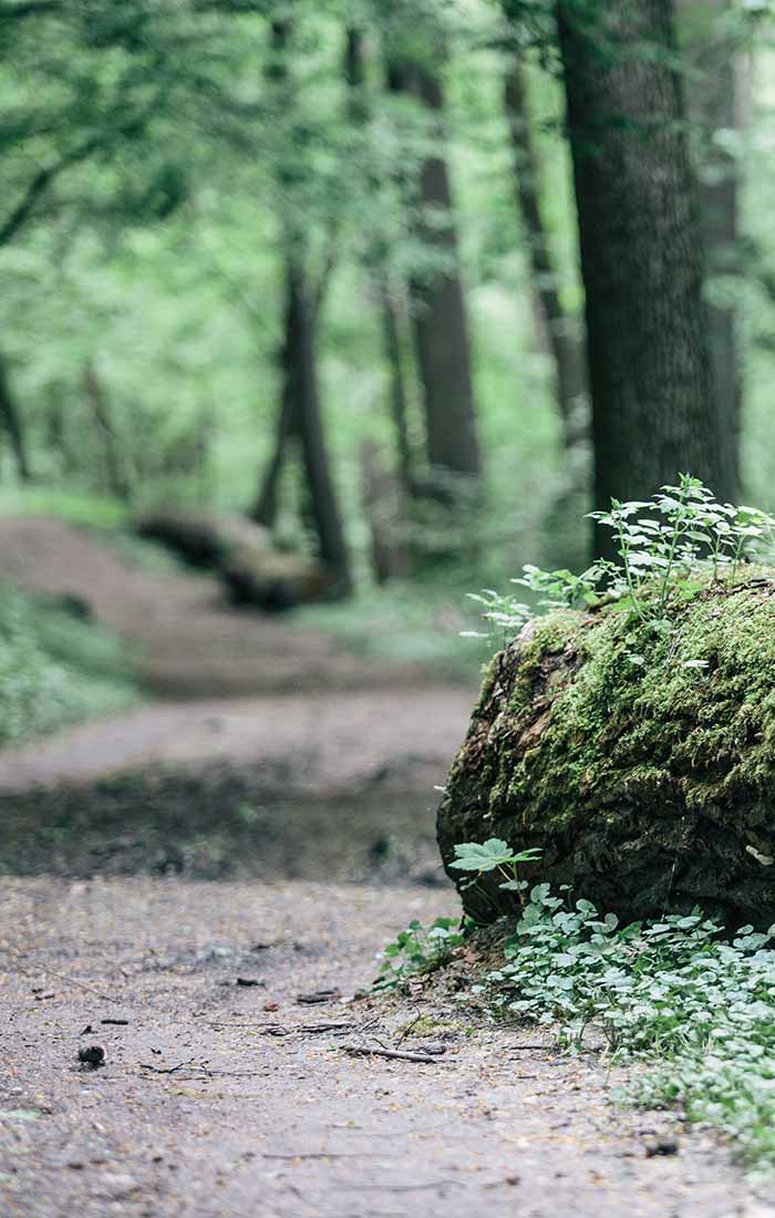 granice-turisticke-trasy